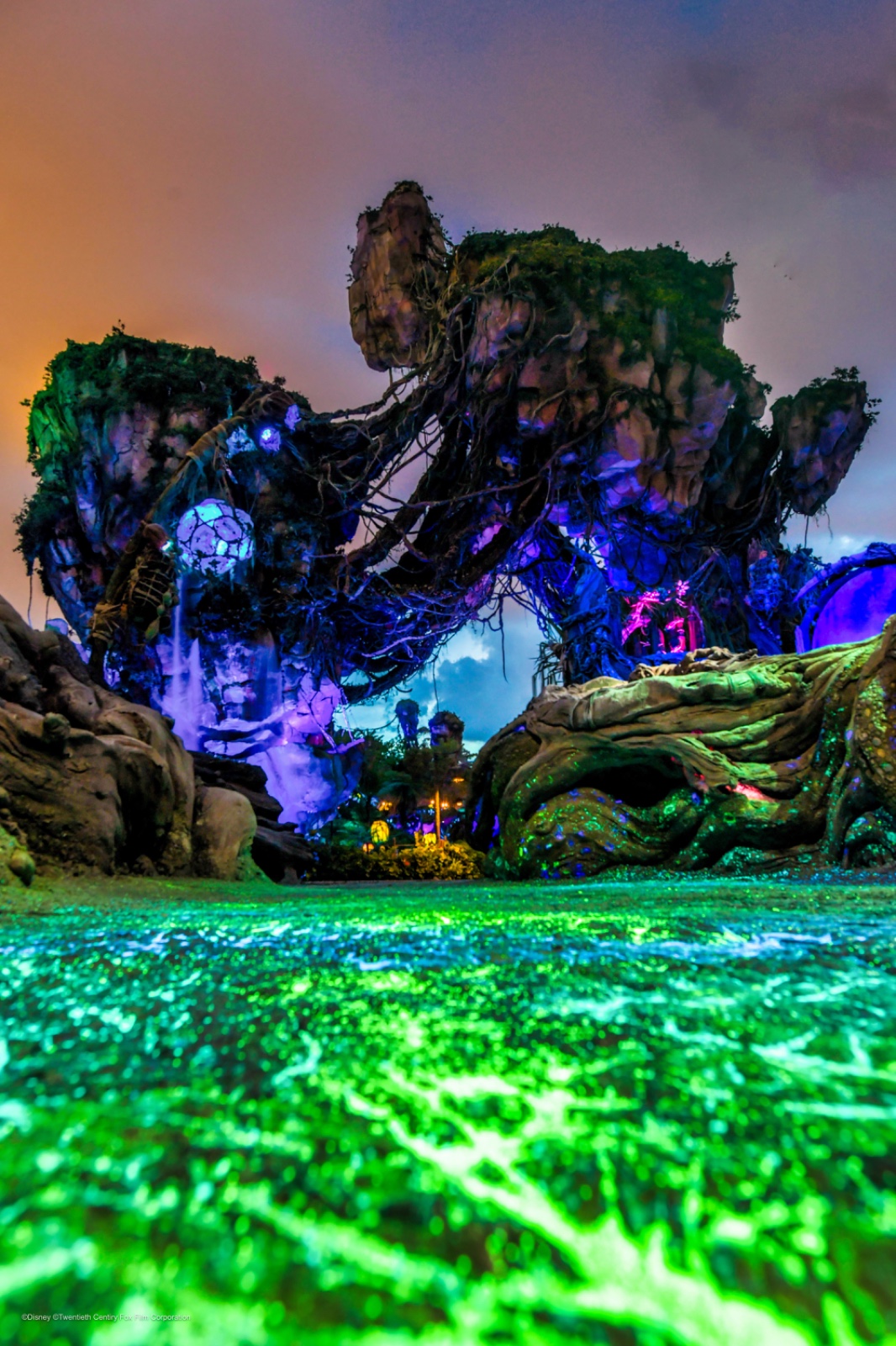 Animal Kingdom